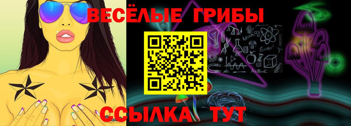 Карабулак  Галлюциногенные грибы Cubensis  Вход с VPN 
